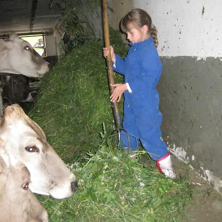 Farm stay Bauernhof Leneler Arzl im Pitztal