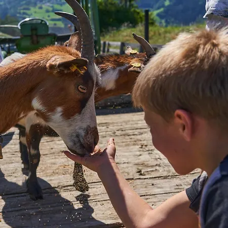Kinderbauernhof Leneler Alojamento de Turismo Rural Arzl im Pitztal